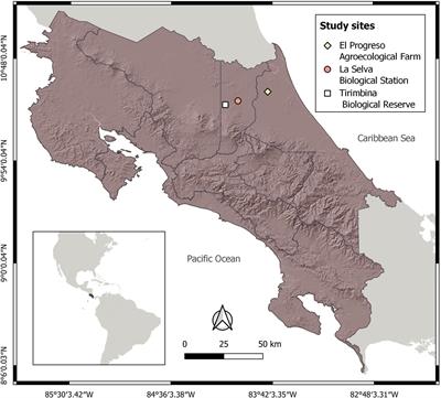 Allometric Models to Estimate Carbon Content in Arecaceae Based on Seven Species of Neotropical Palms